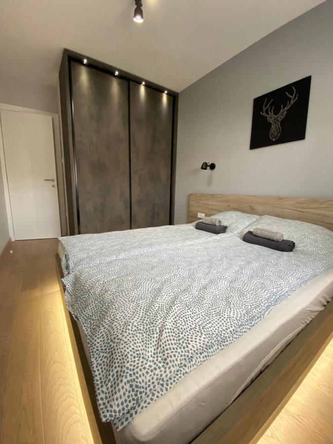 Daire Premium Novi Sad